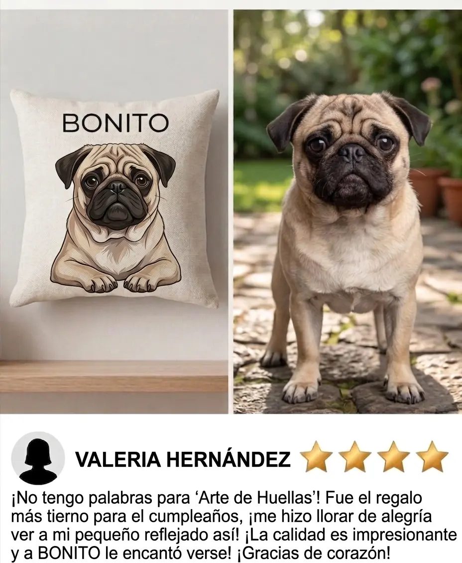Bonito