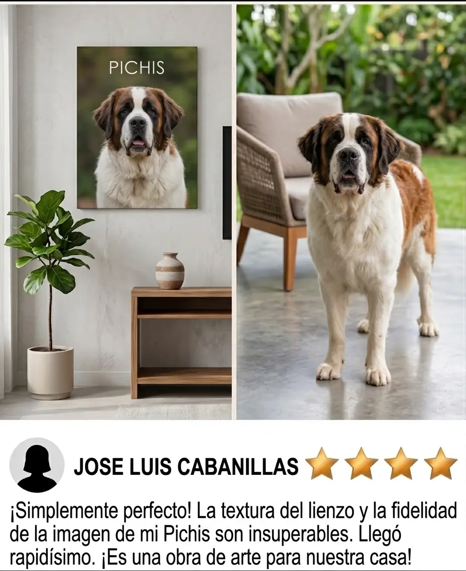 Reseñas